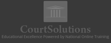 Court Solutions Online